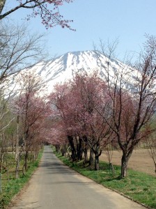 Shinseko Hokkaido May 2015